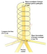 s_ortega_geobiologie