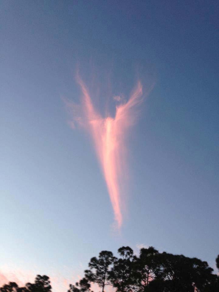 Election du pape 2013 : Un ange apparaît dans le ciel