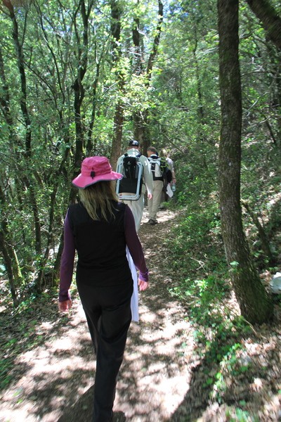 un_sentier_qui_nous_parle_de_serenite