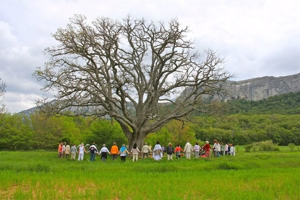 sainte_baume_2013_6