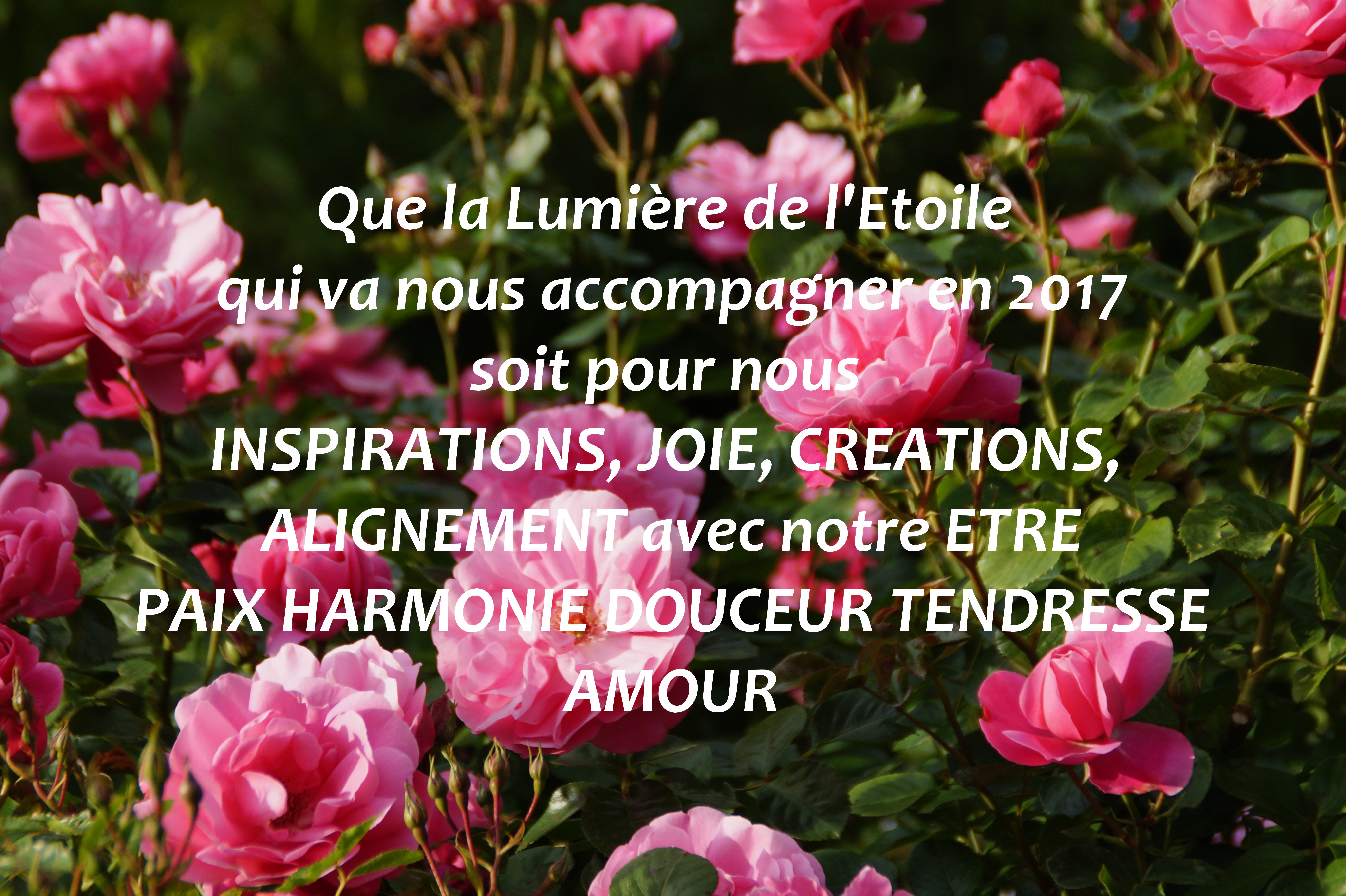 Que l’Etoile vous accompagne en 2017…