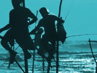 Inde SUD & SRI LANKA