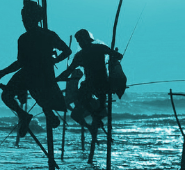 Inde SUD & SRI LANKA
