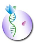 ThetaHealing ADN2 : Base et Avancé