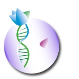 ThetaHealing ADN2 : Base et Avancé
