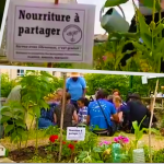 Lancement officiel des Incroyables Comestibles à Aix