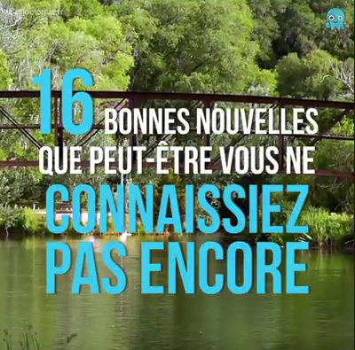 16 RAISONS DE RESTER OPTIMISTES