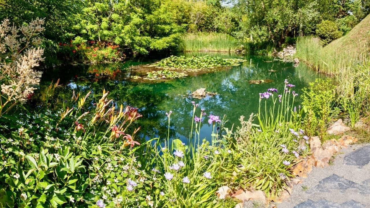 Web Conférence : Un air d'été tout léger