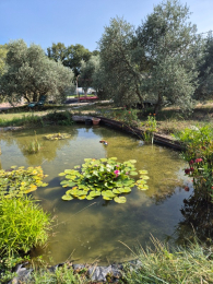 La Minoterie