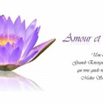 Soirées Meditation et Enseignements Symphonie/Amour et Conscience