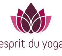 Stage d'hiver de Yoga