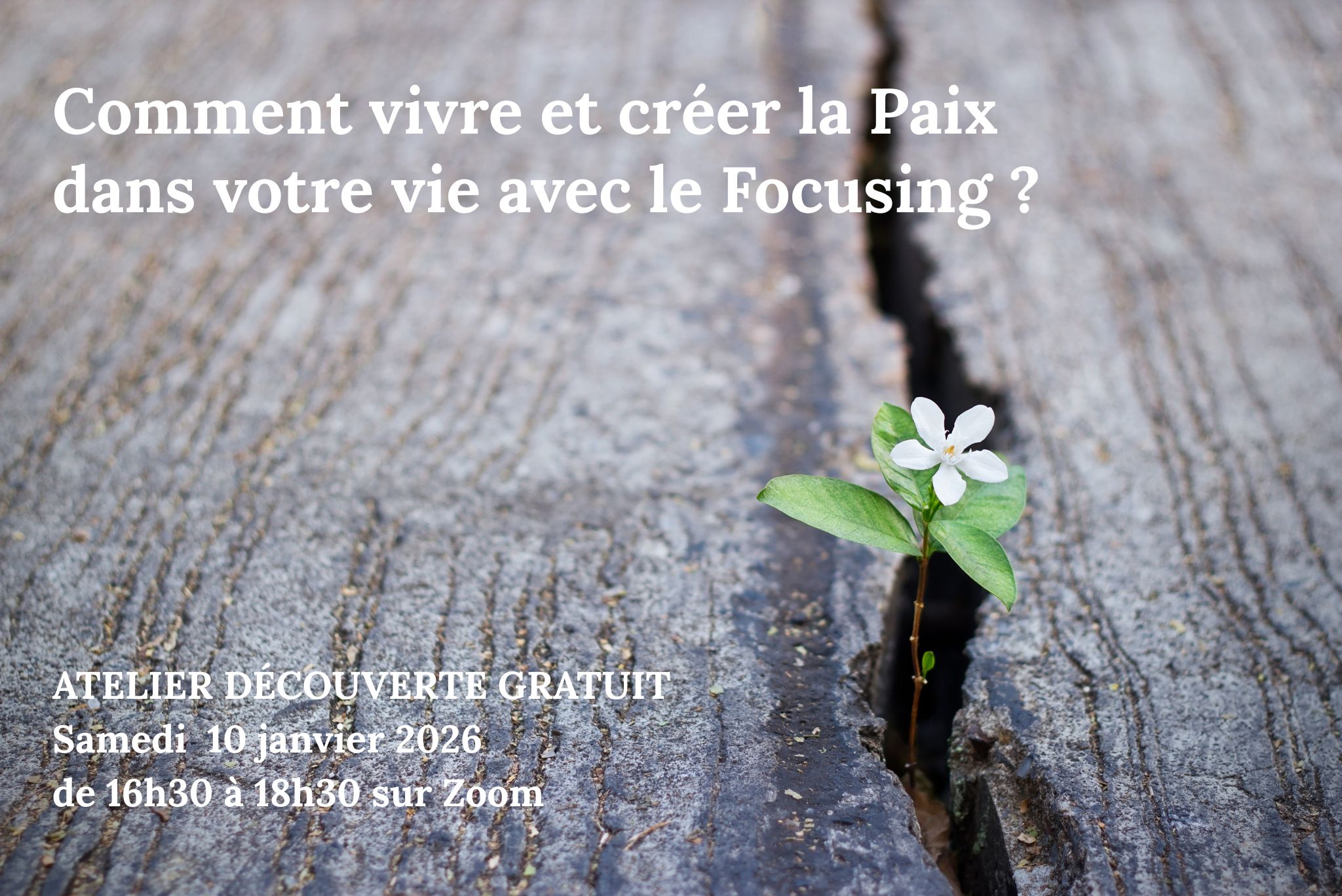 Comment vivre et créer la Paix dans votre vie avec le Focusing