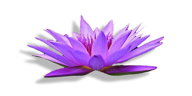 Soirée Méditation Symphonie