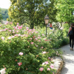 Séjour Ressourcement Qigong et Médecine Chinoise