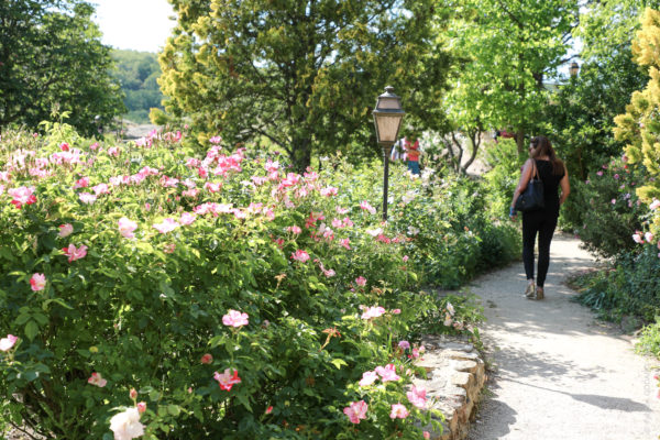Séjour Ressourcement Qigong et Médecine Chinoise