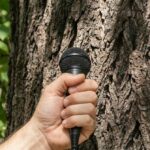 Rencontrez les arbres du Vicdessos