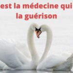 Guérir le coeur, guérir par le coeur