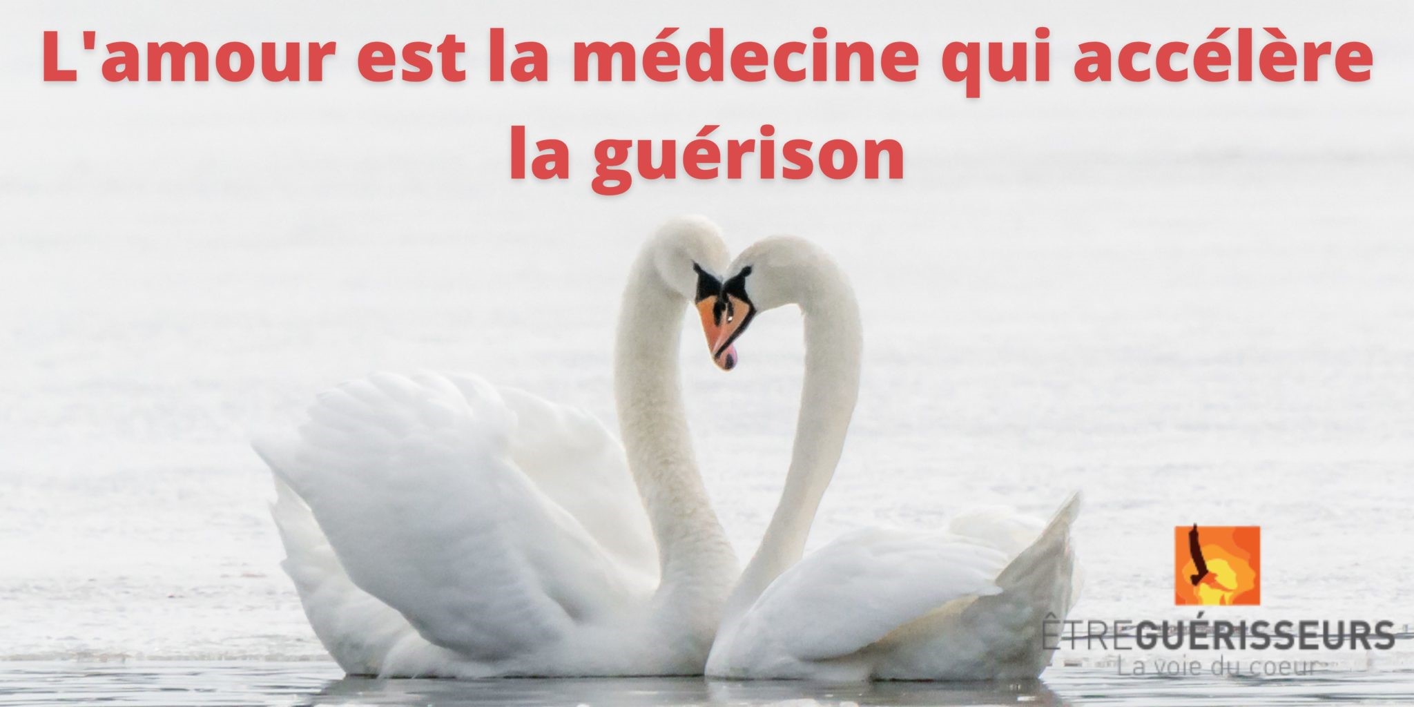 Guérir le coeur, guérir par le coeur