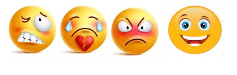 Grammaire des Emotions